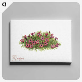 1-48_Mary-Vaux-Walcott_canvas