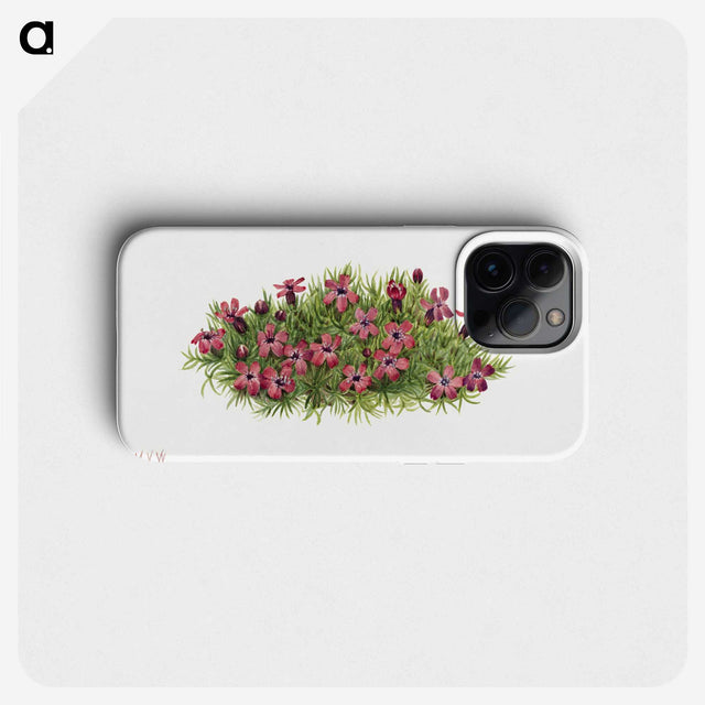1-48_Mary-Vaux-Walcott_phone