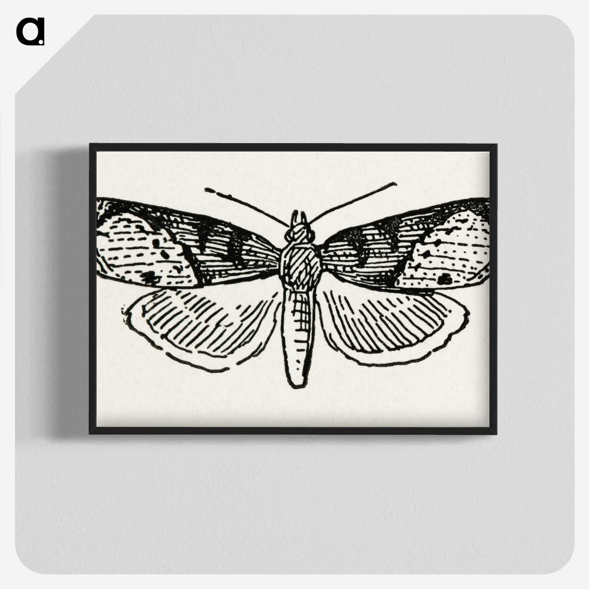 1-48_Moths-and-Butterflies-of-the-United-States_blk-crop