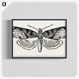 1-48_Moths-and-Butterflies-of-the-United-States_blk-crop