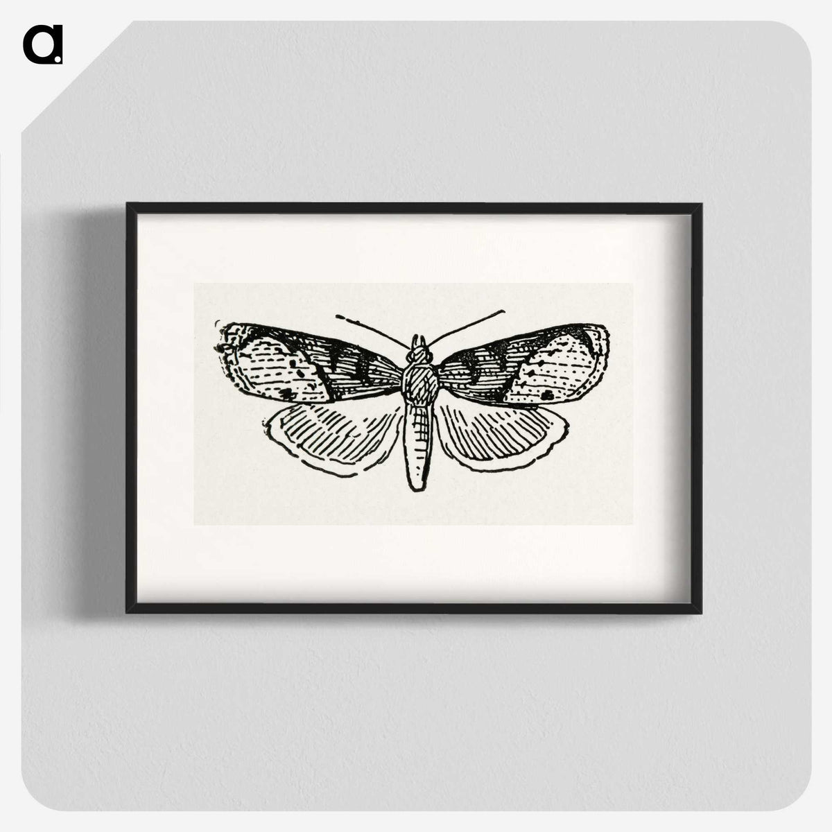 1-48_Moths-and-Butterflies-of-the-United-States_blk
