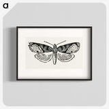 1-48_Moths-and-Butterflies-of-the-United-States_blk