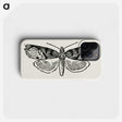 1-48_Moths-and-Butterflies-of-the-United-States_phone