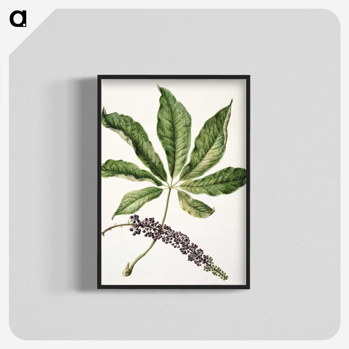 1-48_Native-Flowering-Plants-of-New-Zealand_blk-crop