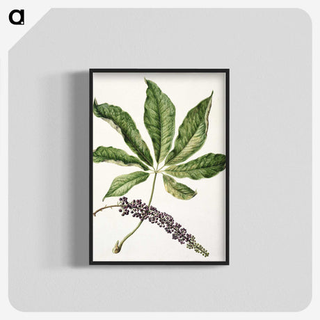 1-48_Native-Flowering-Plants-of-New-Zealand_blk-crop