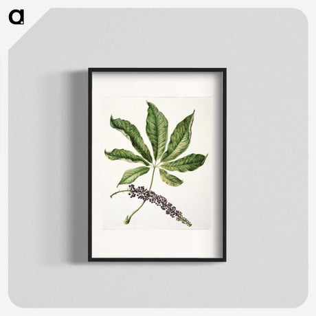 1-48_Native-Flowering-Plants-of-New-Zealand_blk