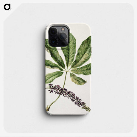 1-48_Native-Flowering-Plants-of-New-Zealand_phone