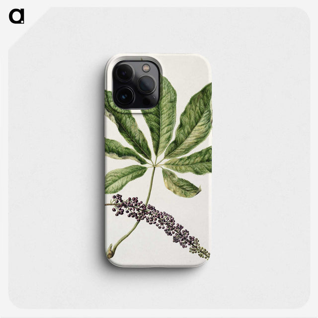 1-48_Native-Flowering-Plants-of-New-Zealand_phone