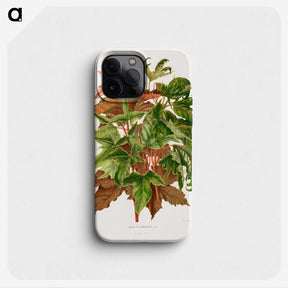 1-48_Nederlandsche-Flora-en-Pomona_phone