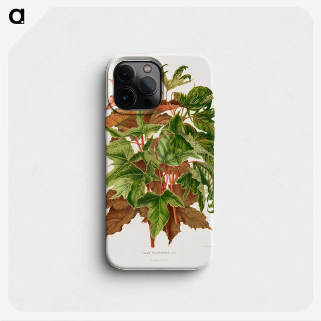 1-48_Nederlandsche-Flora-en-Pomona_phone