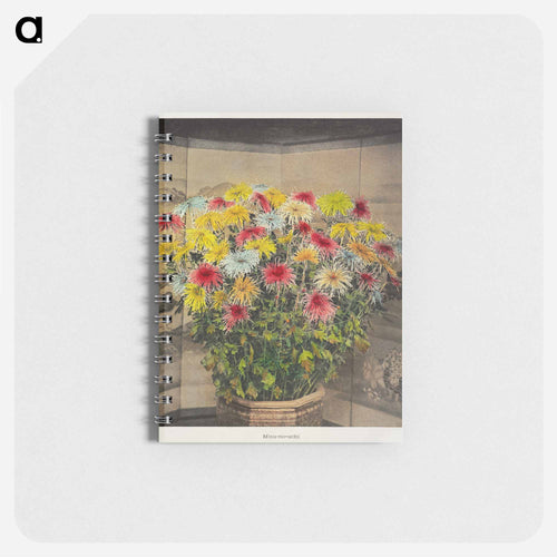 Misu–no–uchi - Kazumasa Ogawa Memo.