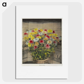 1-48_Ogawa-Kazumasa_picture