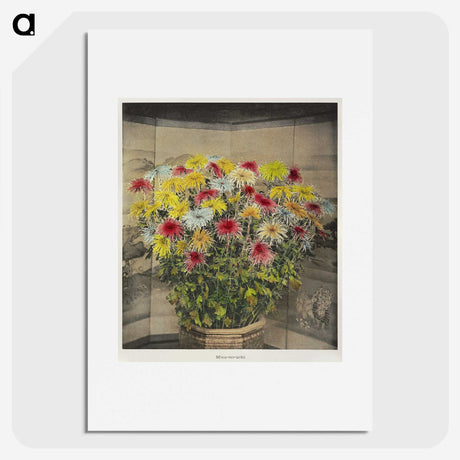 1-48_Ogawa-Kazumasa_picture
