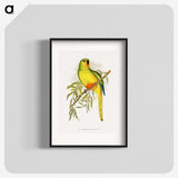 1-48_Parrots-in-Captivity_blk