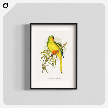 1-48_Parrots-in-Captivity_blk