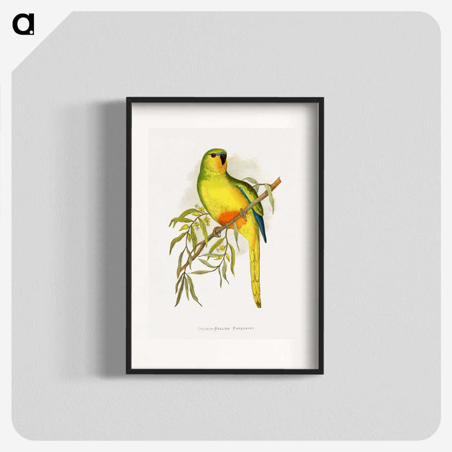 1-48_Parrots-in-Captivity_blk
