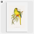 1-48_Parrots-in-Captivity_picture