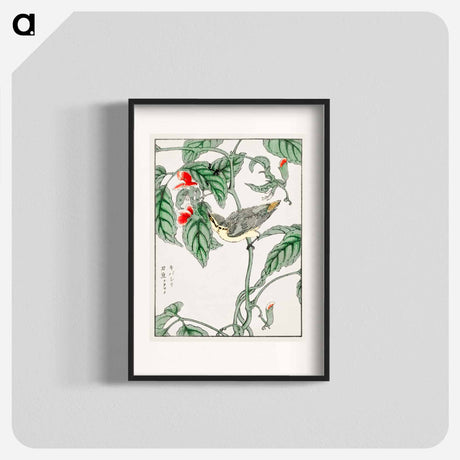 アートポスター-Japanese Tree-creeper and Pea
 - 鳥類図鑑 Poster.