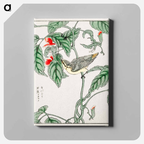 アートパネル-Japanese Tree-creeper and Pea
 - 鳥類図鑑 Canvas.