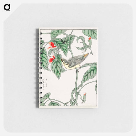 アートメモ帳-Japanese Tree-creeper and Pea
 - 鳥類図鑑 Memo.