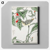 1-48_Pictorial-Monograph-of-Birds_canvas