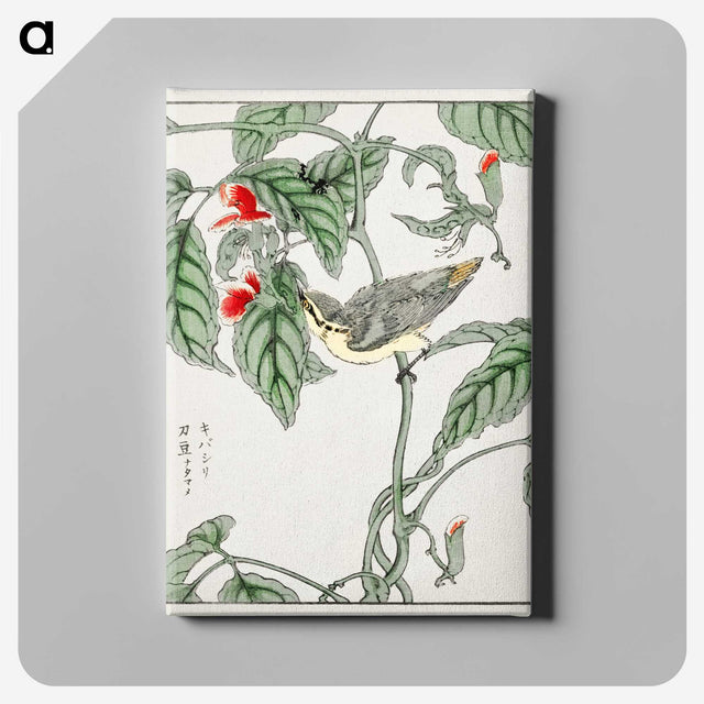 1-48_Pictorial-Monograph-of-Birds_canvas