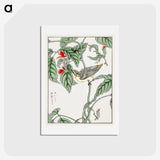 1-48_Pictorial-Monograph-of-Birds_hagaki