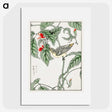 1-48_Pictorial-Monograph-of-Birds_picture