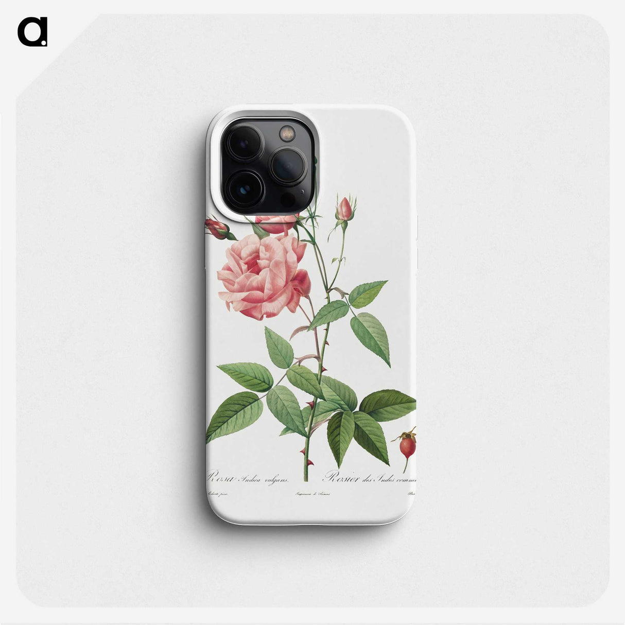 1-48_Pierre-Joseph-Redoute_phone