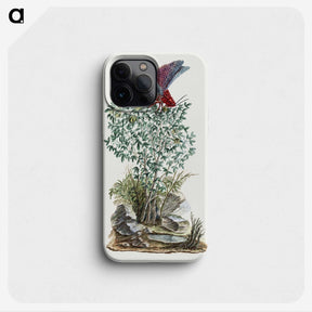 1-48_Robert-Jacob-Gordon_phone