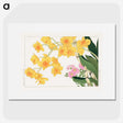 1-48_Seiyo-Soka-Zufu_picture