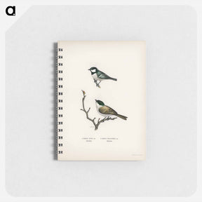 アートメモ帳-Coal Tit and Marsh Tit
 - スヴェンスカ フォグラル Memo.