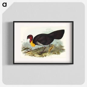 アートポスター-Brush Turkey
 - オーストラリアの鳥 Poster.