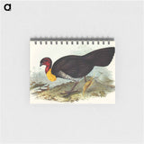 アートメモ帳-Brush Turkey
 - オーストラリアの鳥 Memo.