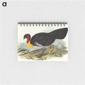 アートメモ帳-Brush Turkey
 - オーストラリアの鳥 Memo.