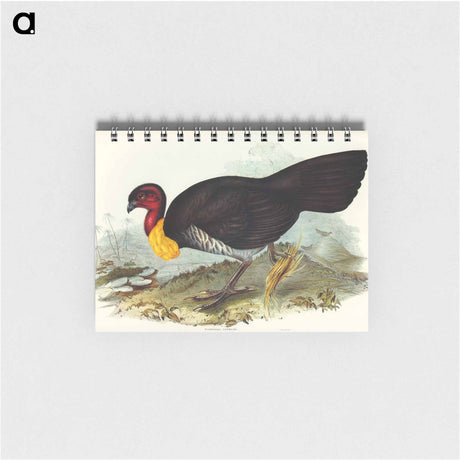 アートメモ帳-Brush Turkey
 - オーストラリアの鳥 Memo.