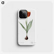 1-48_The-Lilies_phone