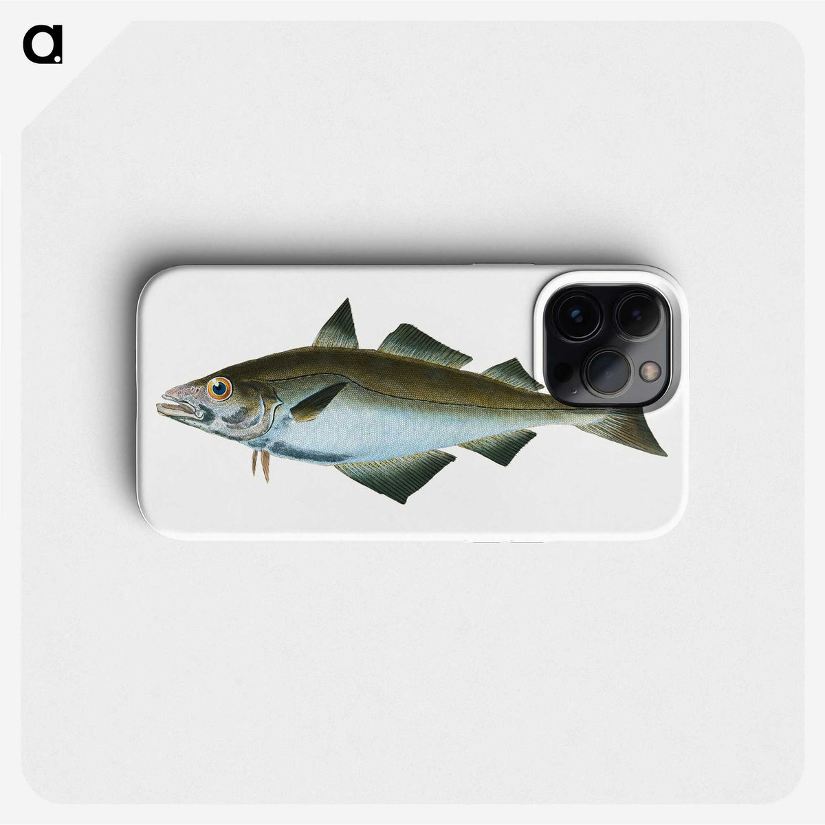 1-48_The-Natural-History-of-British-Fishes_phone