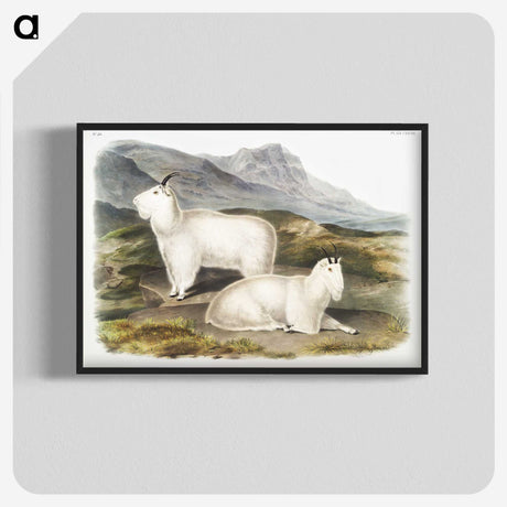 1-48_The-Viviparous-Quadrupeds_blk-crop