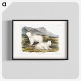 1-48_The-Viviparous-Quadrupeds_blk