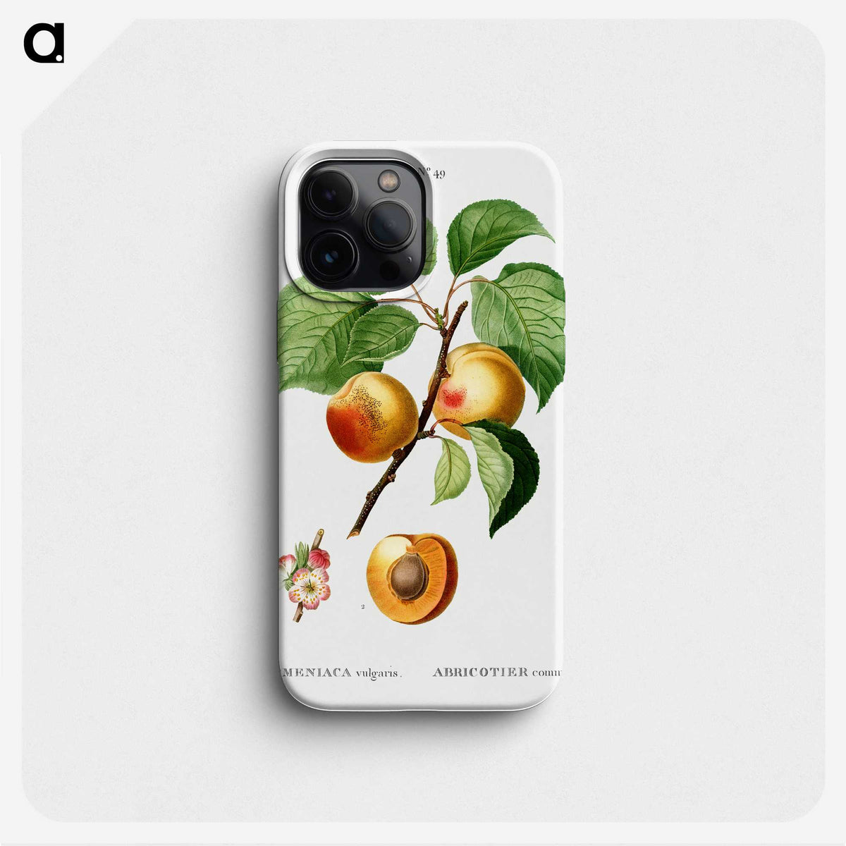 1-48_Treatise-on-Trees-and-Shrubs_phone