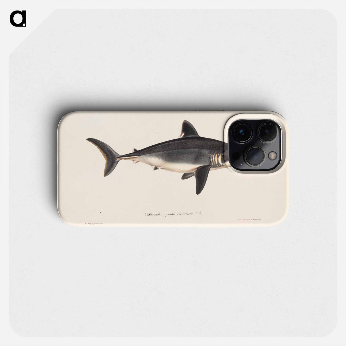 Porbeagle, female by Wilhelm von Wright - ヴィルヘルム フォン ライト Phone Case.