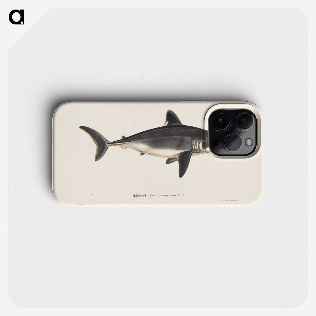 1-48_Wilhelm-von-Wright_phone