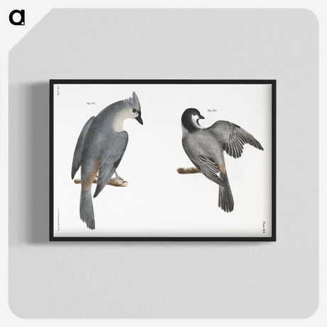 1-48_Zoology-of-New-York_blk-crop