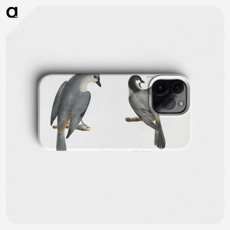 1-48_Zoology-of-New-York_phone