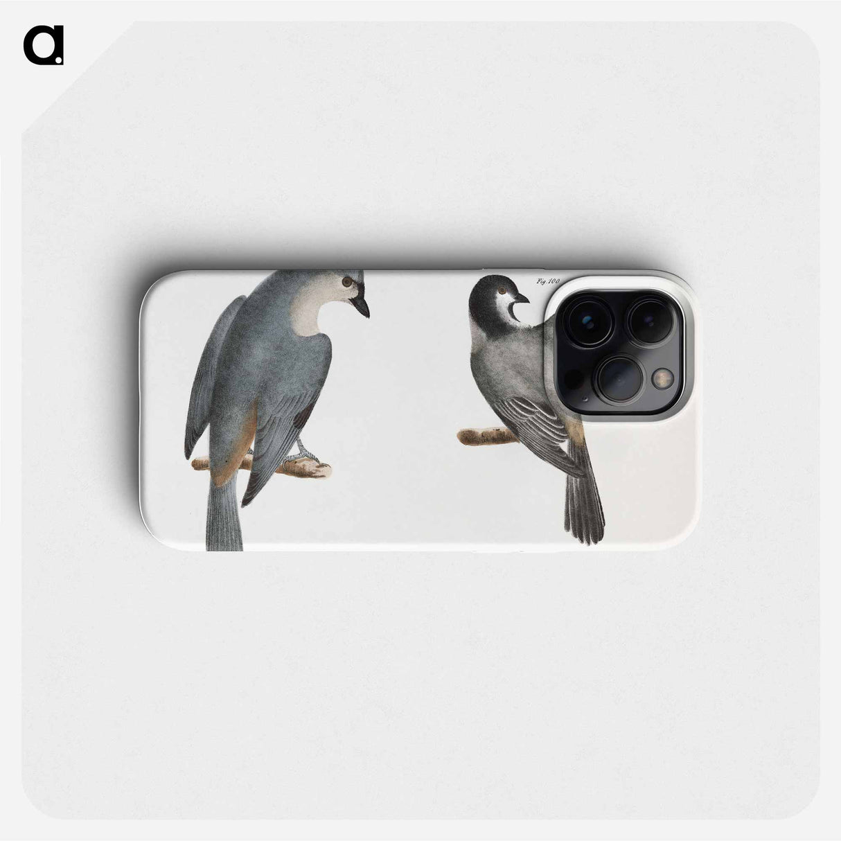 The Blackcap Tit (Parus atricapillus) 101. The Crested Tit (Parus bicolor) illustration from Zoology of New York by - ニューヨークの動物学 Phone Case.