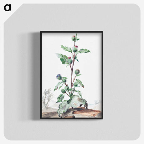 1-49_Aert-Schouman_blk-crop