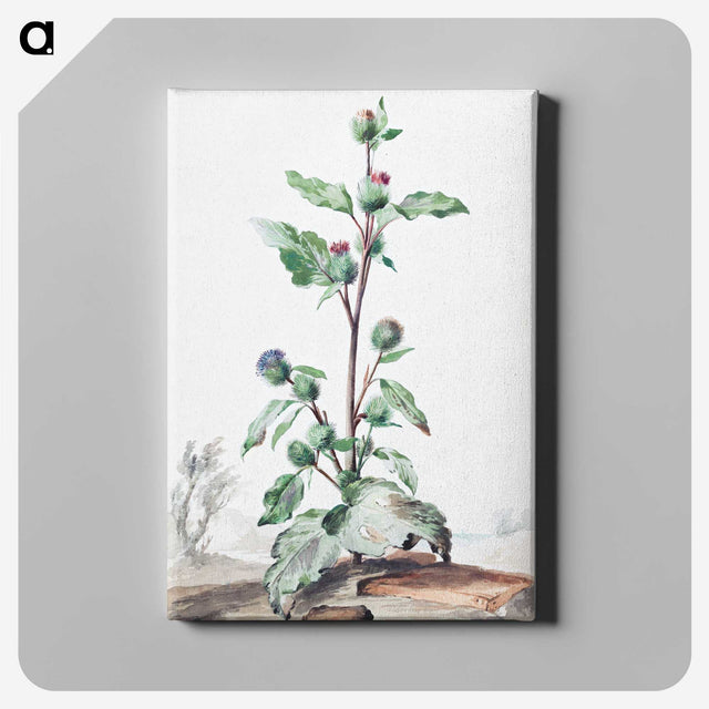 1-49_Aert-Schouman_canvas
