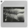 1-49_Alfred-Stieglitz_canvas