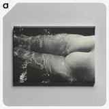 1-49_Alfred-Stieglitz_canvas